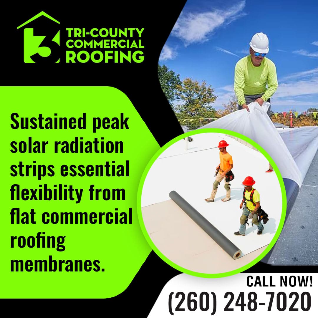 Roofing crew installing protective membranes on commercial roof