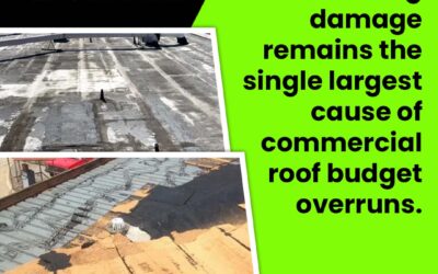 What Costs to Include in a Commercial Roof Replacement Budget?