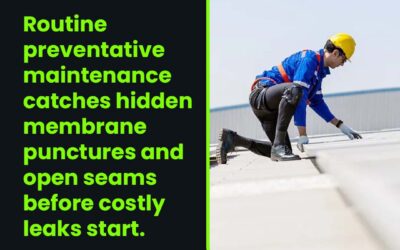 What Commercial Roof Damage Can Preventative Maintenance Find?